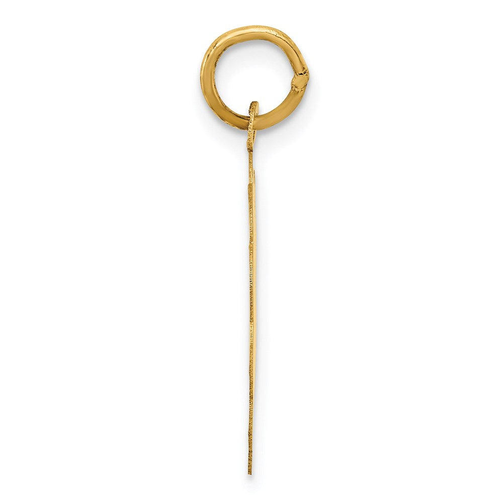 14K A DATE TO REMEMBER Disc Charm