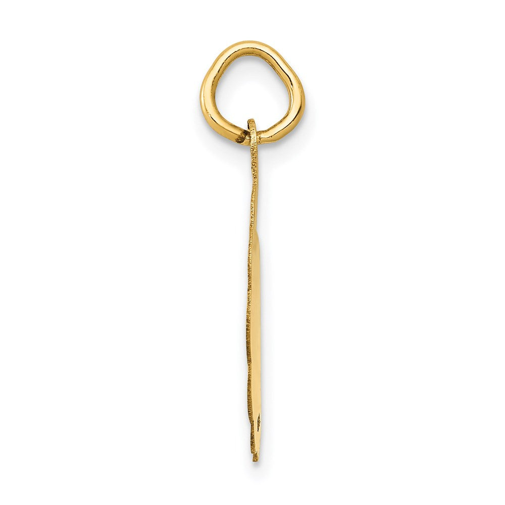 14k Polished IT'S A GIRL Scalloped Disc Charm