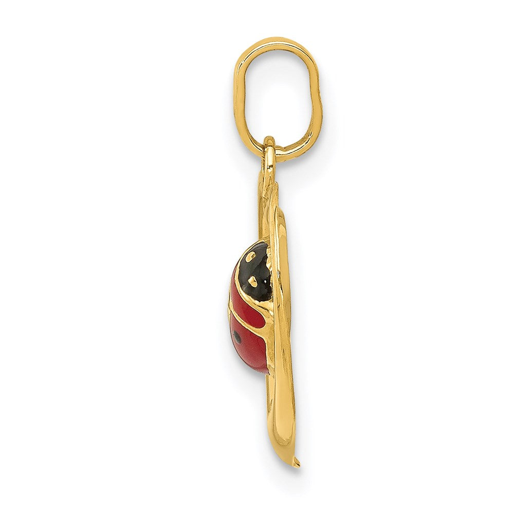 14k Enameled Ladybug in Heart Charm
