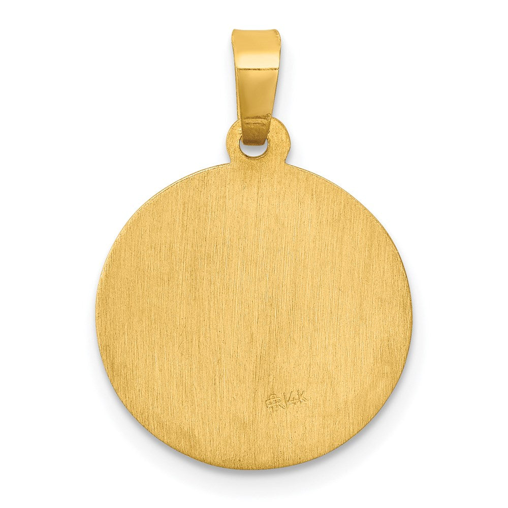 14k Polished and Satin St Luke Medal Hollow Pendant
