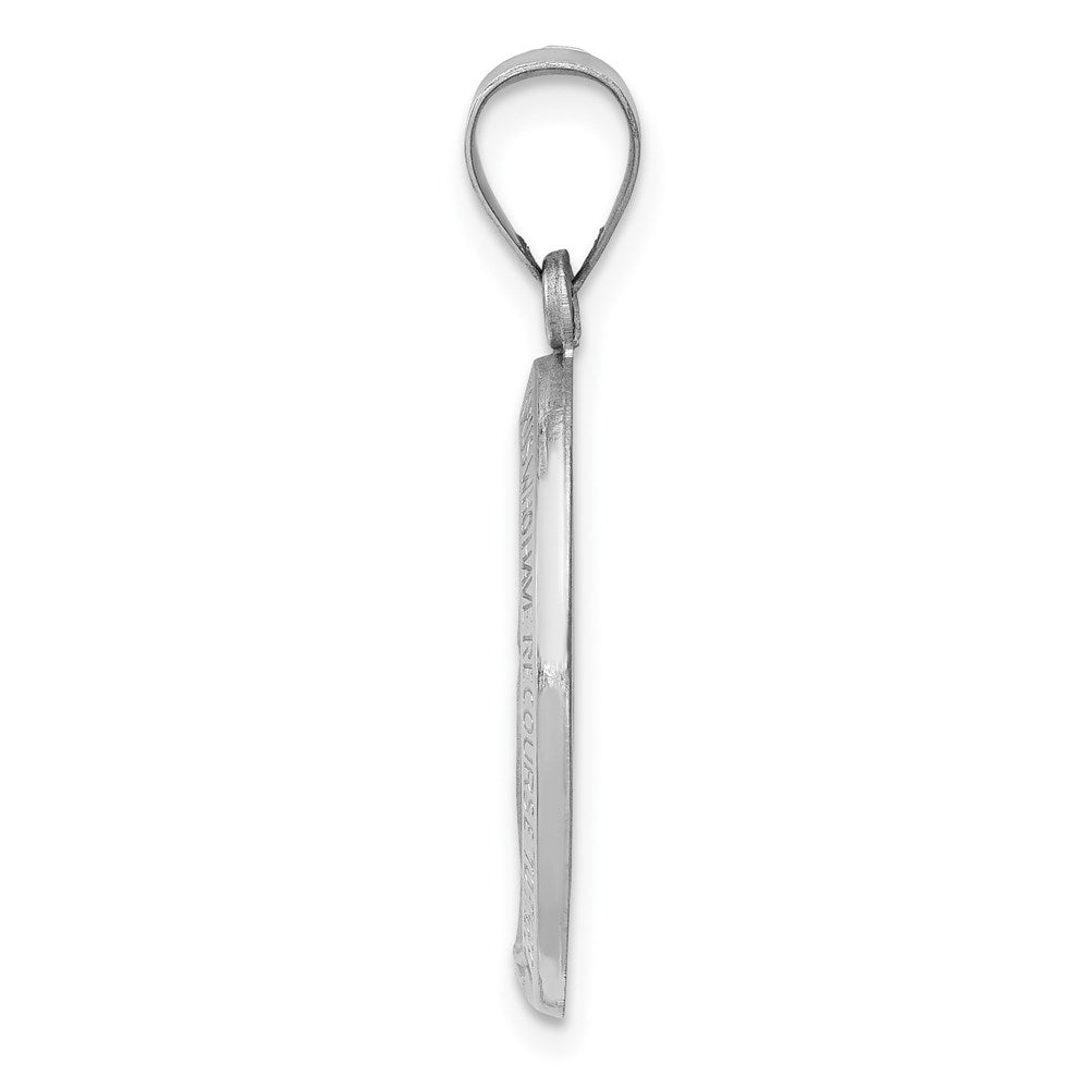 14k White Gold Polished / Satin Miraculous Medal Hollow Pendant
