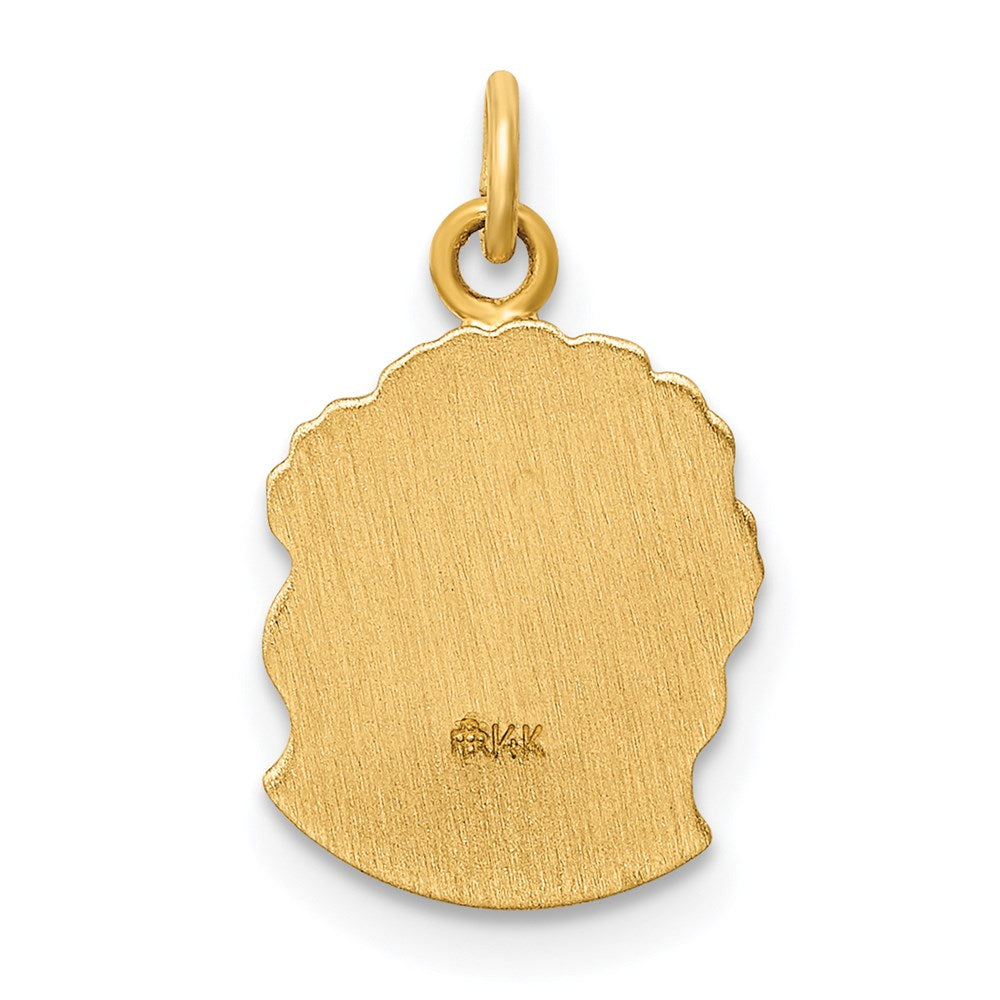 14k Hollow Polished/Satin Small Jesus Medal