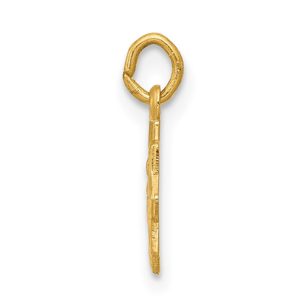 14k Blessed Mary Charm