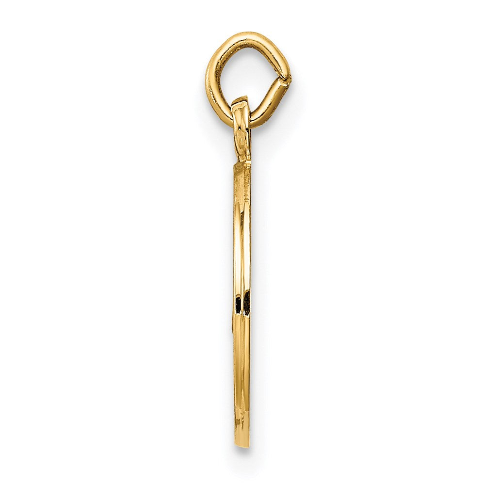 14K Caridad Del Cobre Medal Charm