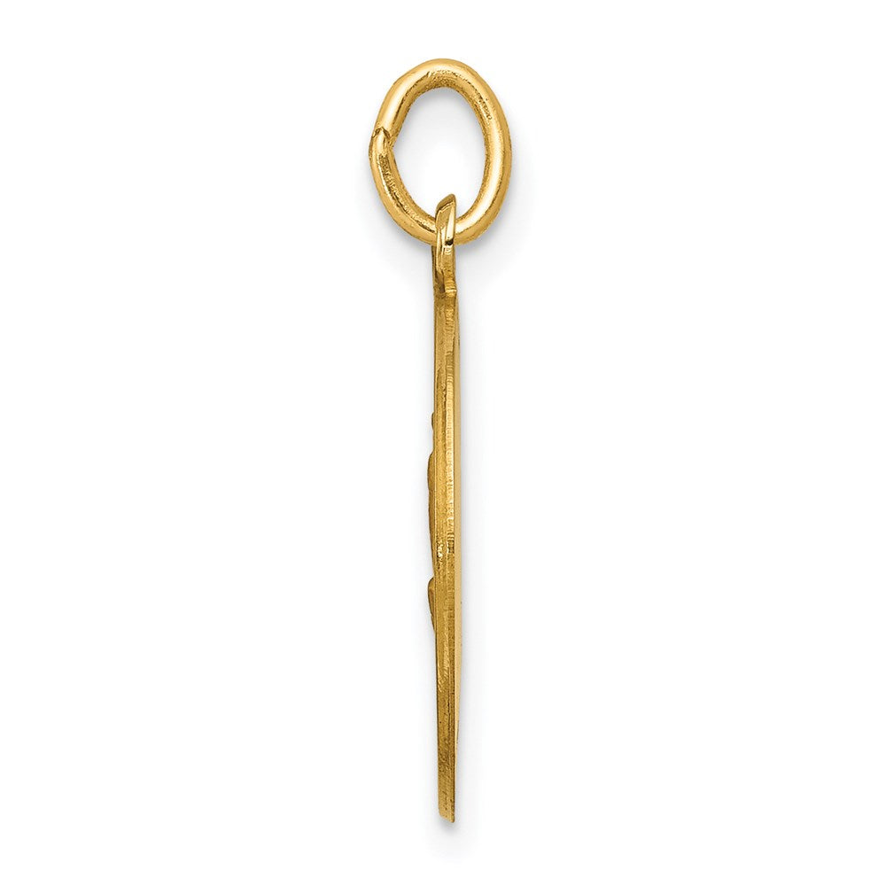 14k Our Lady of Fatima Medal Charm