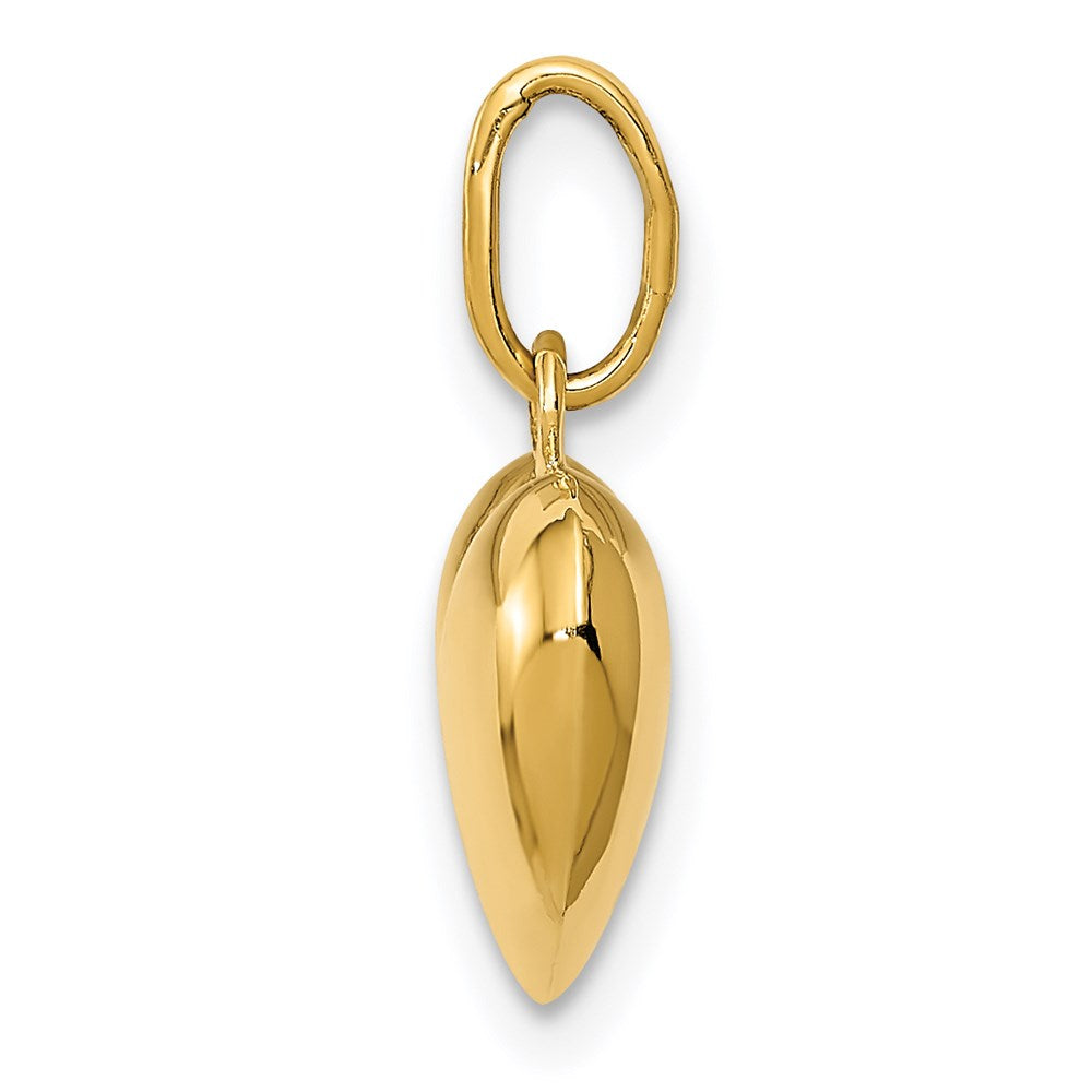 14K Polished 3-D Puffed Heart Charm