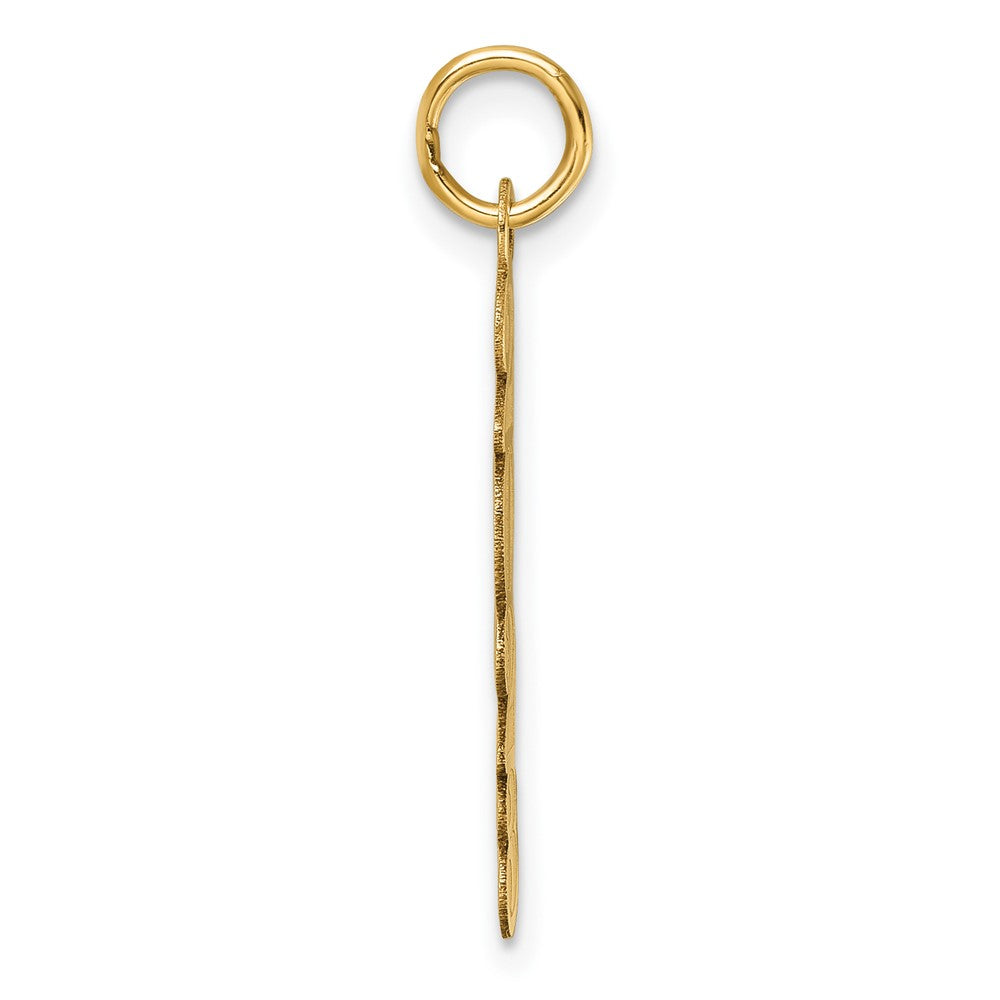 14K Polished and Satin Vertical 2023 Charm
