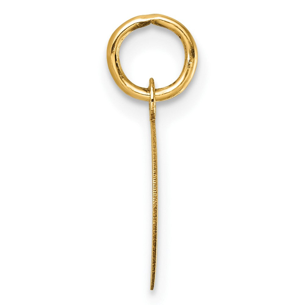 14k Polished Oval CLASS OF 2024 Charm