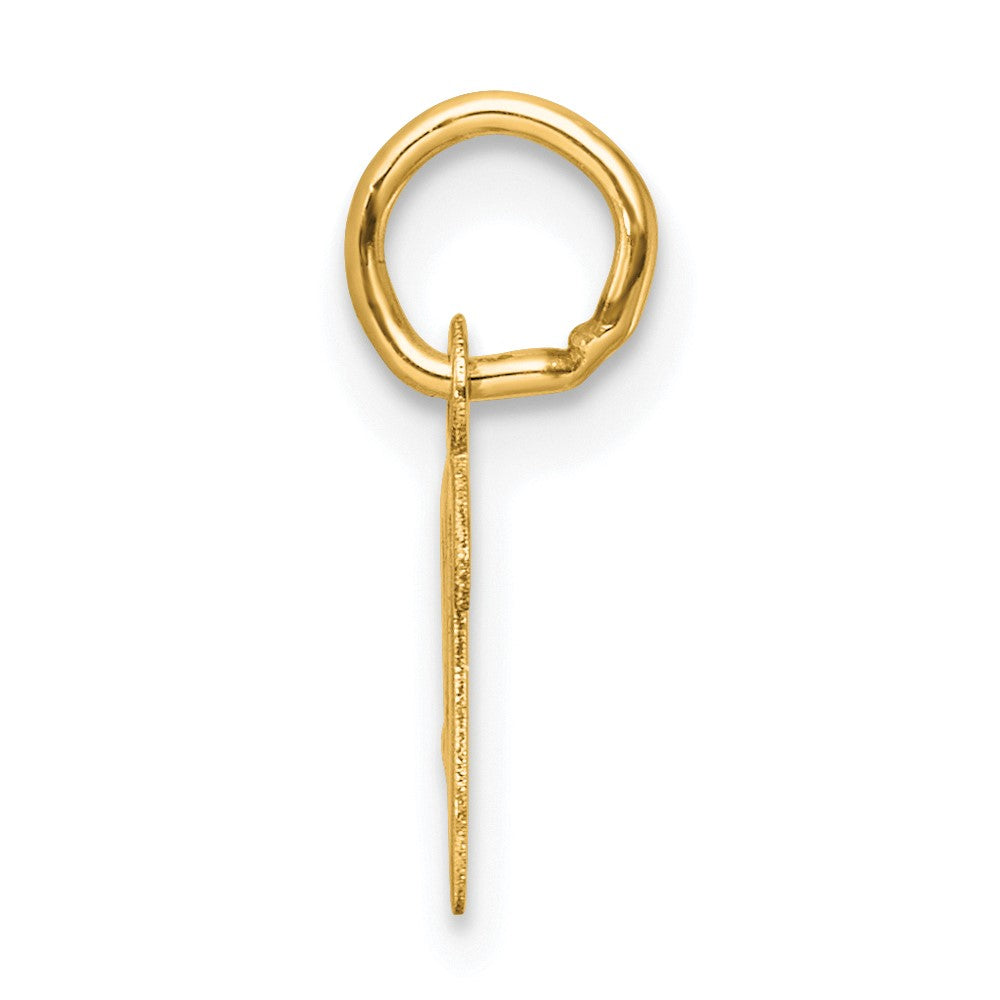 14K Small Script Letter V Initial Charm