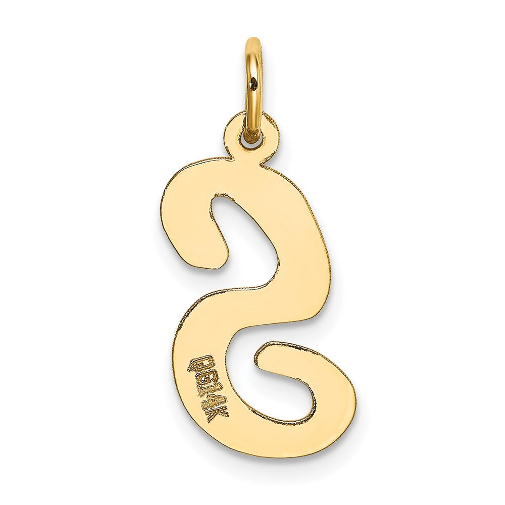 14k Large Script Letter S Initial Charm